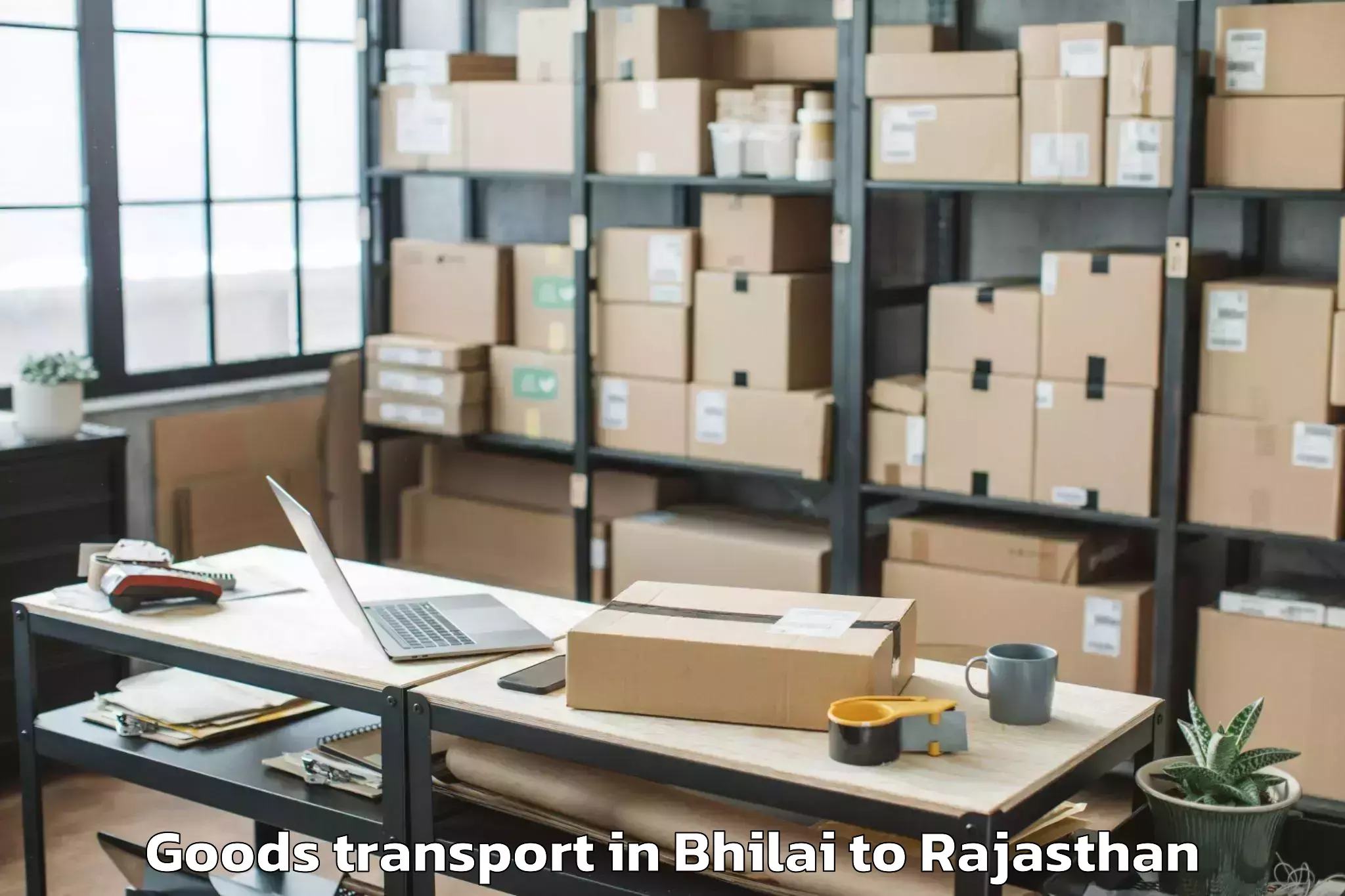 Reliable Bhilai to Jaipur Airport Jai Goods Transport